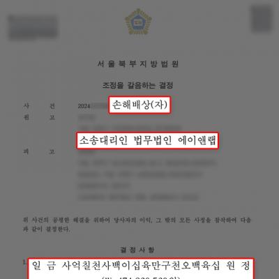 [손해배상] 횡단보도 사망사고 피해자 대리, 손해배상 약 5억 원 지급 이끌어내